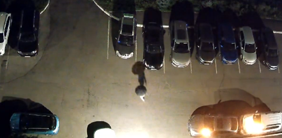 c028579ee8d42ebb2a56d41560b37b1b «Соседи едва успевали отгонять машины»: как в Новокузнецке владелец детективного бюро организовал серию поджогов